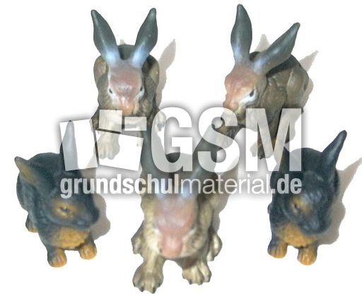 Hasen-5.jpg